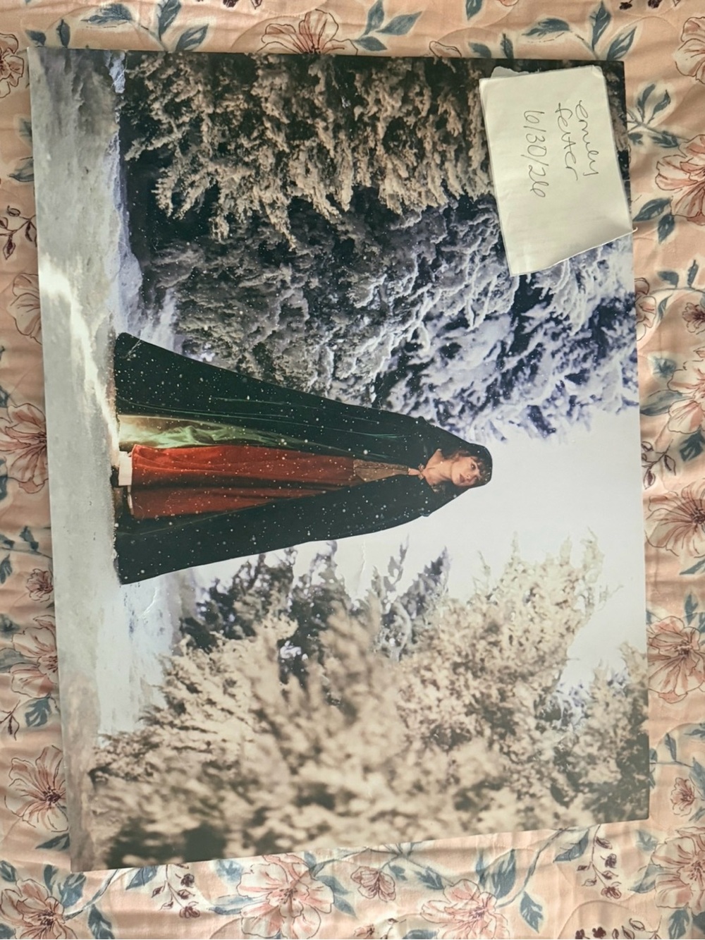 Taylor Swift Wildest Winter Poster